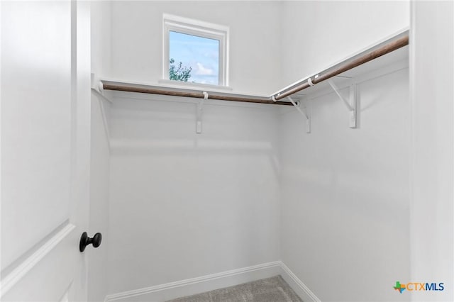 4201 Arques Ave, Round Rock, TX 78681 - view of walk in closet