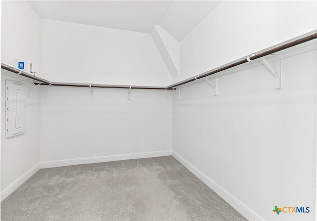 4201 Arques Ave, Round Rock, TX 78681 - spacious closet featuring light carpet