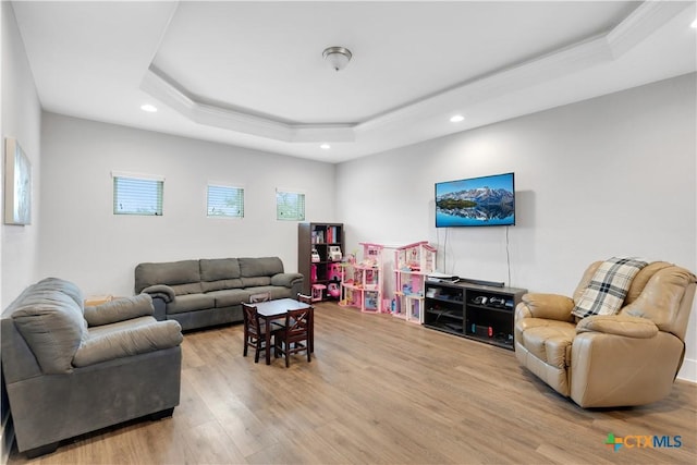 living room featuring wood-type flooring and a raised ceiling