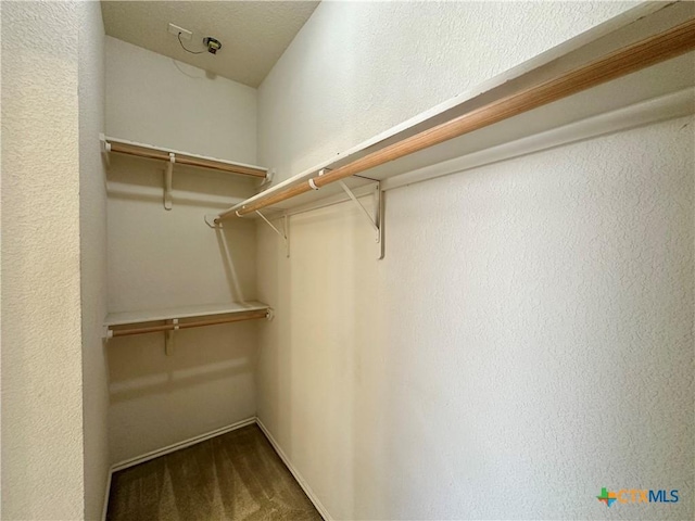 4609 Golden Gate Dr, Killeen, TX 76549 - walk in closet with carpet floors