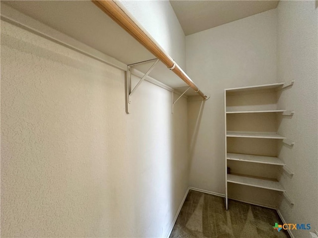 4609 Golden Gate Dr, Killeen, TX 76549 - walk in closet featuring carpet floors
