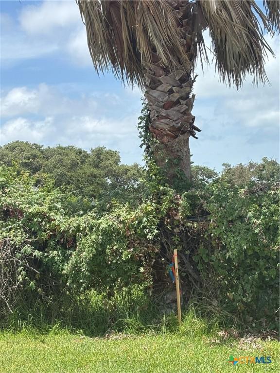 TBD W Jefferson Ave, Port Oconnor, TX 77982 - photo 2
