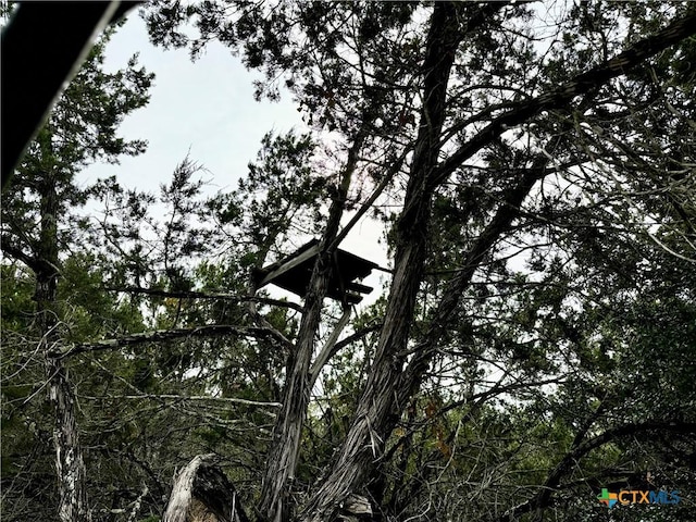580 Yellowstone Ln, Hunt, TX 78024 - photo 25