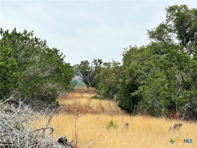 580 Yellowstone Ln, Hunt, TX 78024 - photo 9