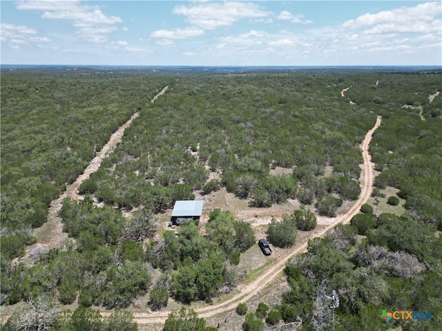 580 Yellowstone Ln, Hunt, TX 78024 - photo 40