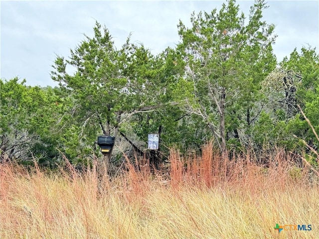 580 Yellowstone Ln, Hunt, TX 78024 - photo 15