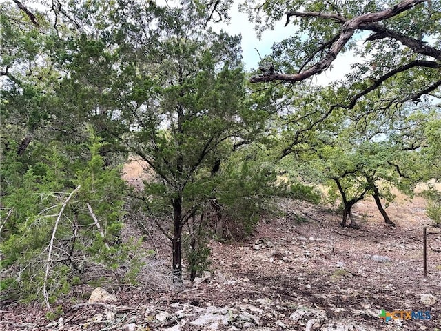 580 Yellowstone Ln, Hunt, TX 78024 - photo 23