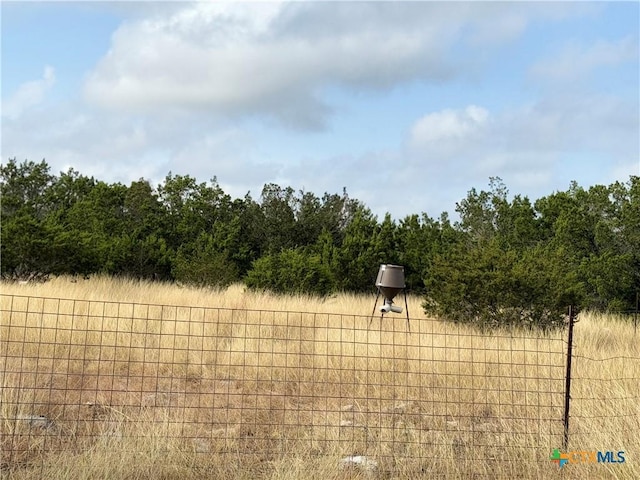 580 Yellowstone Ln, Hunt, TX 78024 - photo 31