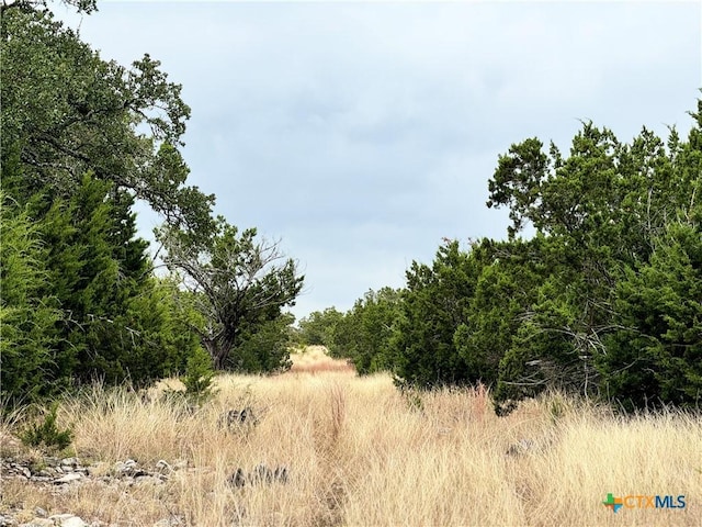580 Yellowstone Ln, Hunt, TX 78024 - photo 10
