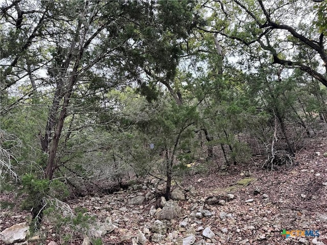 580 Yellowstone Ln, Hunt, TX 78024 - photo 20
