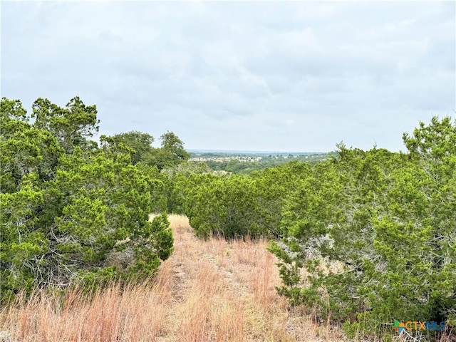 580 Yellowstone Ln, Hunt, TX 78024 - photo 11