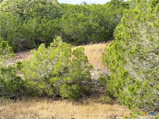 580 Yellowstone Ln, Hunt, TX 78024 - photo 32