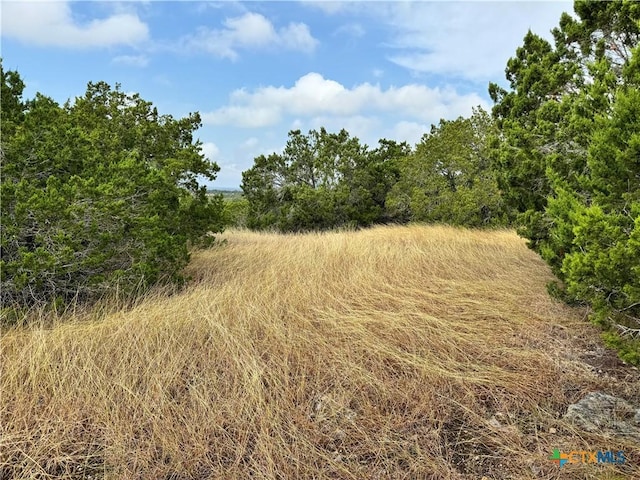 580 Yellowstone Ln, Hunt, TX 78024 - photo 28