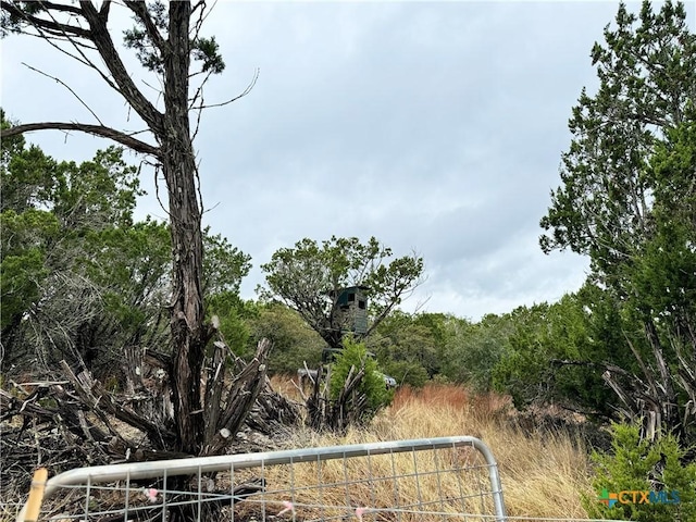 580 Yellowstone Ln, Hunt, TX 78024 - photo 4