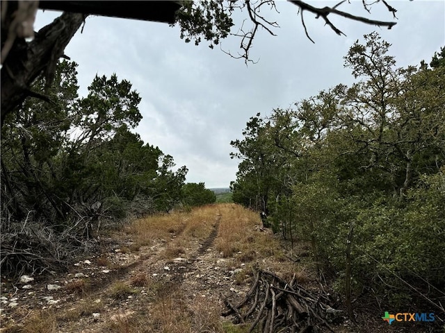 580 Yellowstone Ln, Hunt, TX 78024 - photo 7