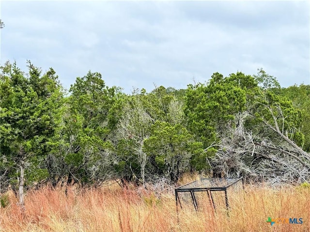 580 Yellowstone Ln, Hunt, TX 78024 - photo 16