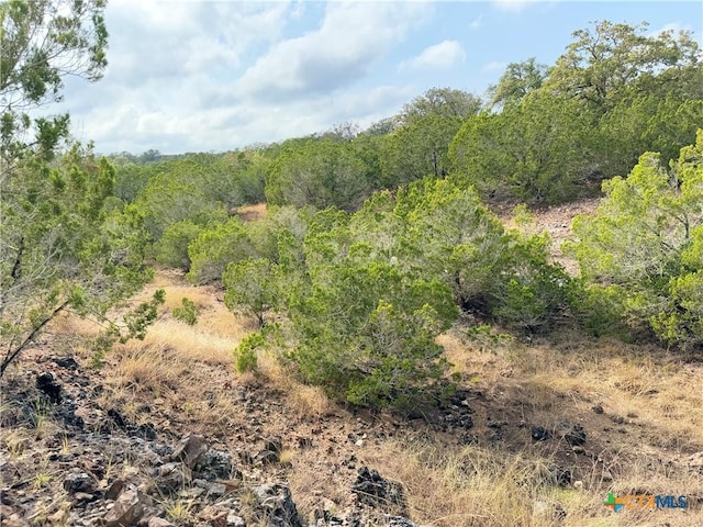 580 Yellowstone Ln, Hunt, TX 78024 - photo 34