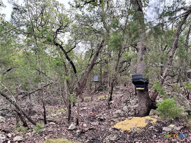 580 Yellowstone Ln, Hunt, TX 78024 - photo 21