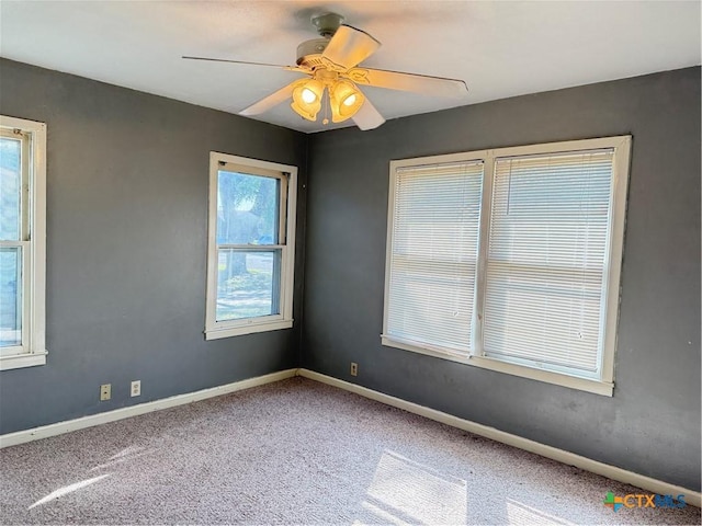 empty room featuring ceiling fan and carpet floors