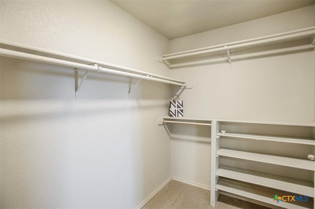 3903 Kevin Shaw Dr, Killeen, TX 76549 - walk in closet with carpet