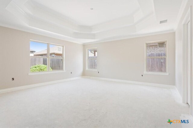 carpeted empty room with baseboards, a tray ceiling, and ornamental molding