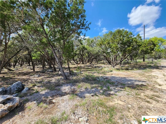 Listing photo 3 for LOT19 Forest Lake Dr, Spring Branch TX 78070