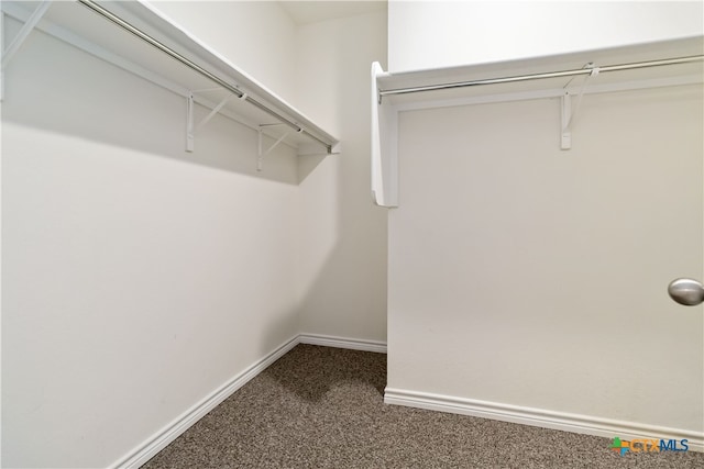 spacious closet with carpet floors