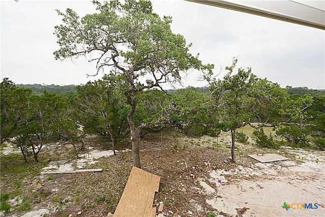 439 Deer Crk, Spring Branch, TX 78070 - view of yard