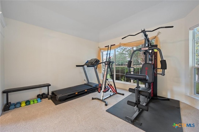 104 Missouri Dr, Harker Heights, TX 76548 - workout room with carpet flooring and baseboards