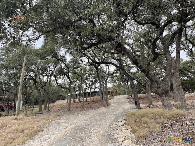 1420 Stallion Springs Dr, Fischer, TX 78623 - photo 2