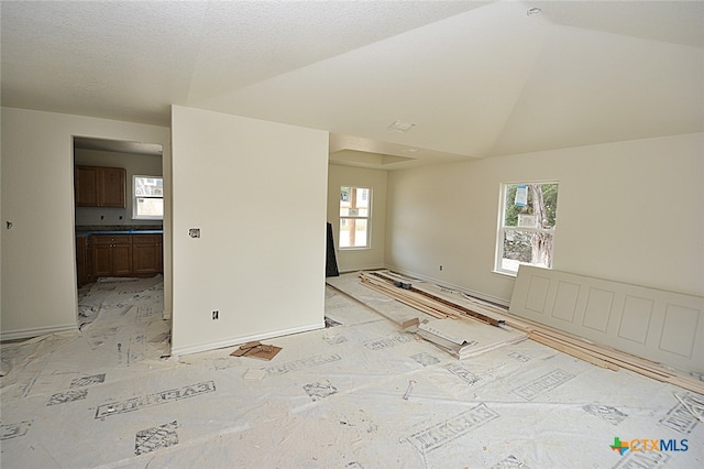 spare room featuring a wealth of natural light and vaulted ceiling