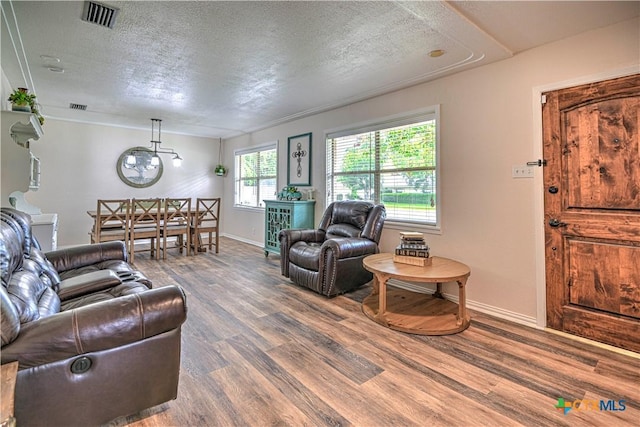 3117 Magnolia Blvd, Temple, TX 76502 - living room featuring wood finished floors and a textured ceiling