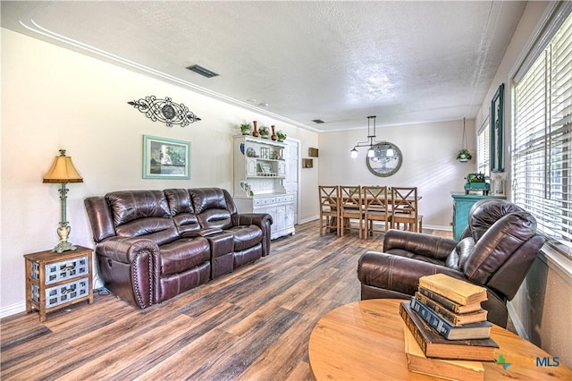 3117 Magnolia Blvd, Temple, TX 76502 - living room featuring a textured ceiling and wood finished floors