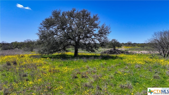 view of nature featuring a rural view