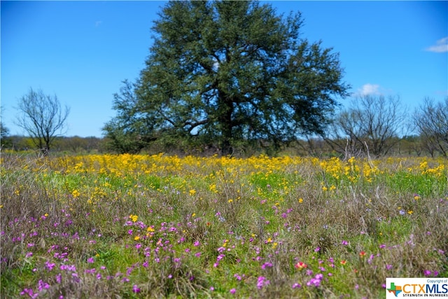 view of nature