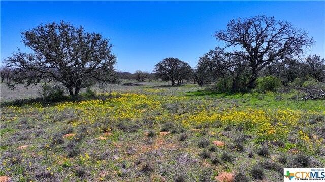 view of nature with a rural view