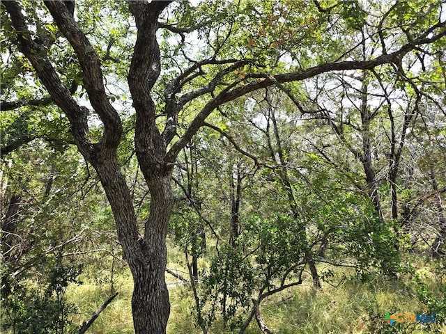 TBD Oakwood Loop, San Marcos, TX 78666