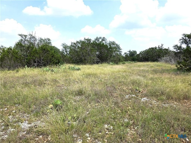 TBD Oakwood Loop, San Marcos, TX 78666