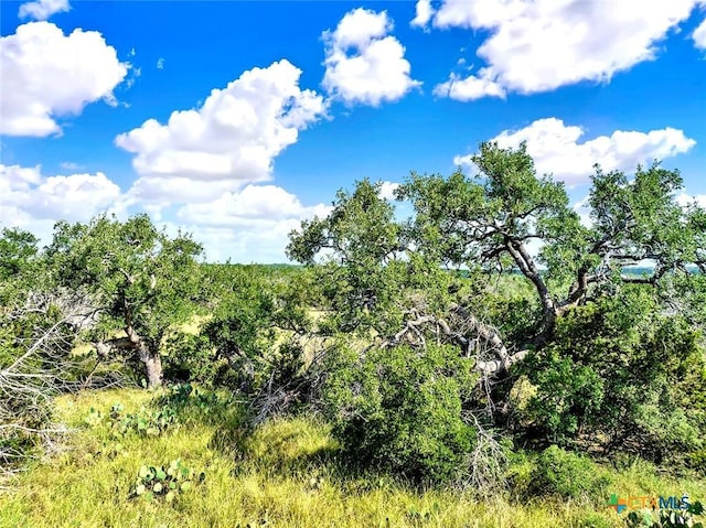 TBD Oakwood Loop, San Marcos, TX 78666