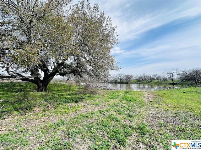 1850 County Rd 153, Kenedy, TX 78119 - photo 33