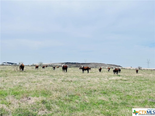 1850 County Rd 153, Kenedy, TX 78119 - photo 22