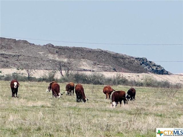 1850 County Rd 153, Kenedy, TX 78119 - photo 24