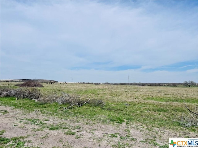 1850 County Rd 153, Kenedy, TX 78119 - photo 25