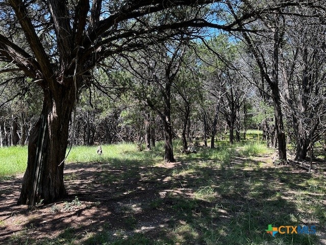 Listing photo 3 for TBD Fuller Ln, Harker Heights TX 76548