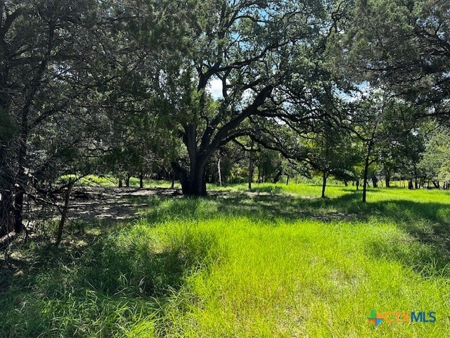 Listing photo 2 for TBD Fuller Ln, Harker Heights TX 76548