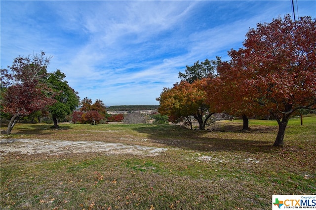 4502 Lago Vista Dr, Belton TX, 76513 land for sale