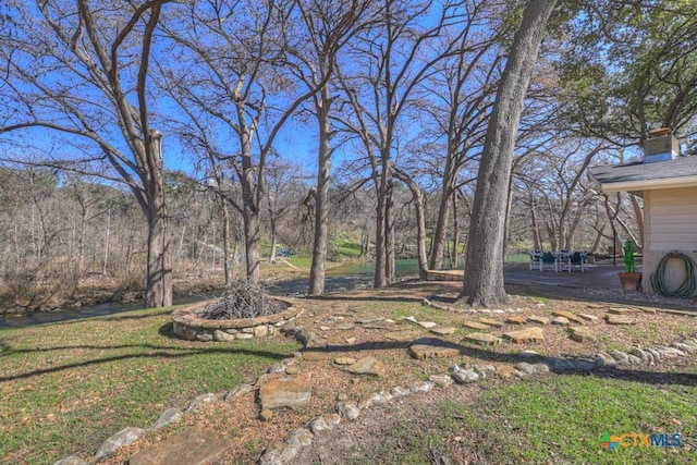 view of yard featuring a patio