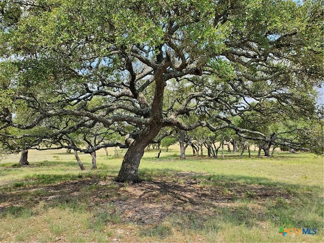 974 Blackbuck Ridge Dr, Lampasas, TX 76550