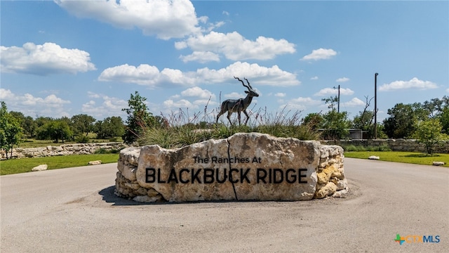 974 Blackbuck Ridge Dr, Lampasas, TX 76550
