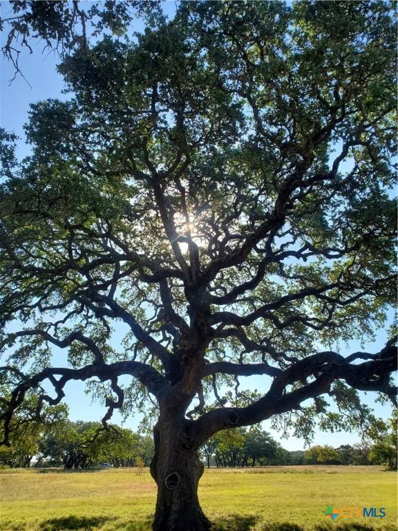 974 Blackbuck Ridge Dr, Lampasas, TX 76550